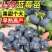 蓝莓树苗增产秋季落叶北美通用耐寒大果南北方种植阳台不带果