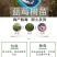 蓝莓树苗增产秋季落叶北美通用耐寒大果南北方种植阳台不带果