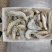 精品海鲜全品供应厄瓜多尔海捕虾白虾带鱼段扇贝柱等