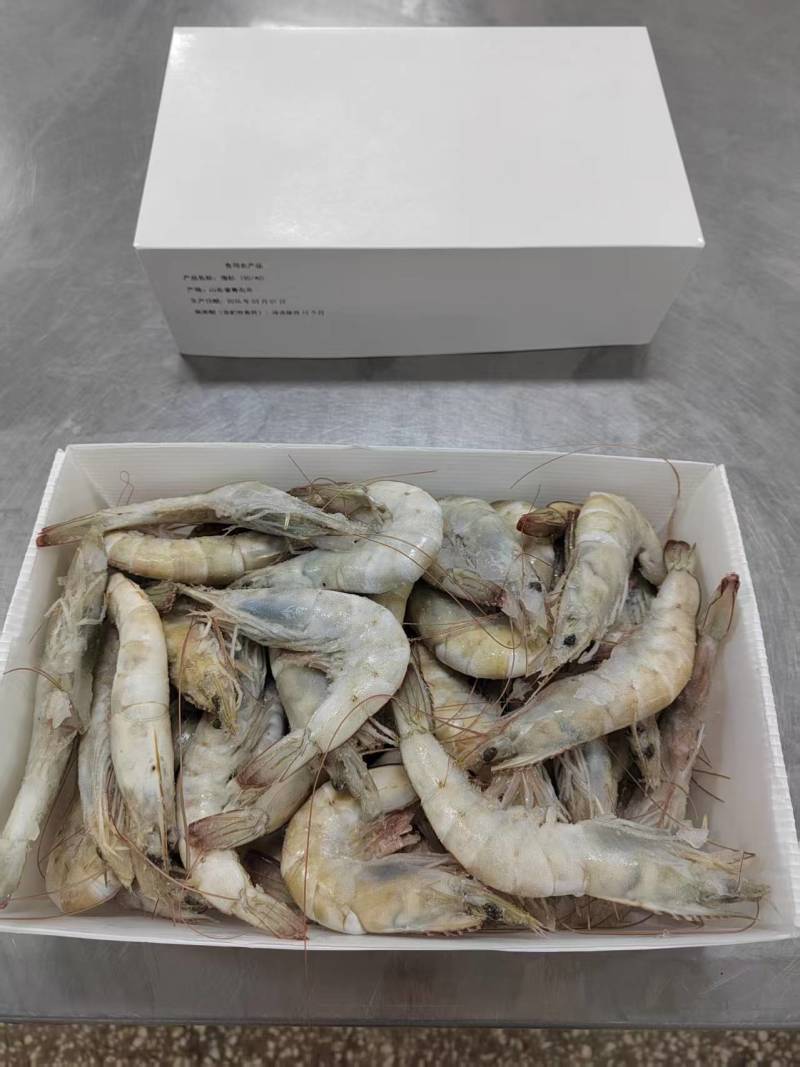 精品海鲜全品供应厄瓜多尔海捕虾白虾带鱼段扇贝柱等