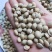 白扁豆炒白扁新货豆药食两用品种无硫净货籽类中药材