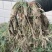 自助下单.当天发货.需要大货电话联系，感谢各位老板支持…