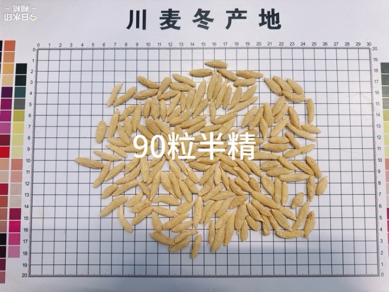 自助下单.当天发货.需要大货电话联系，感谢各位老板支持…