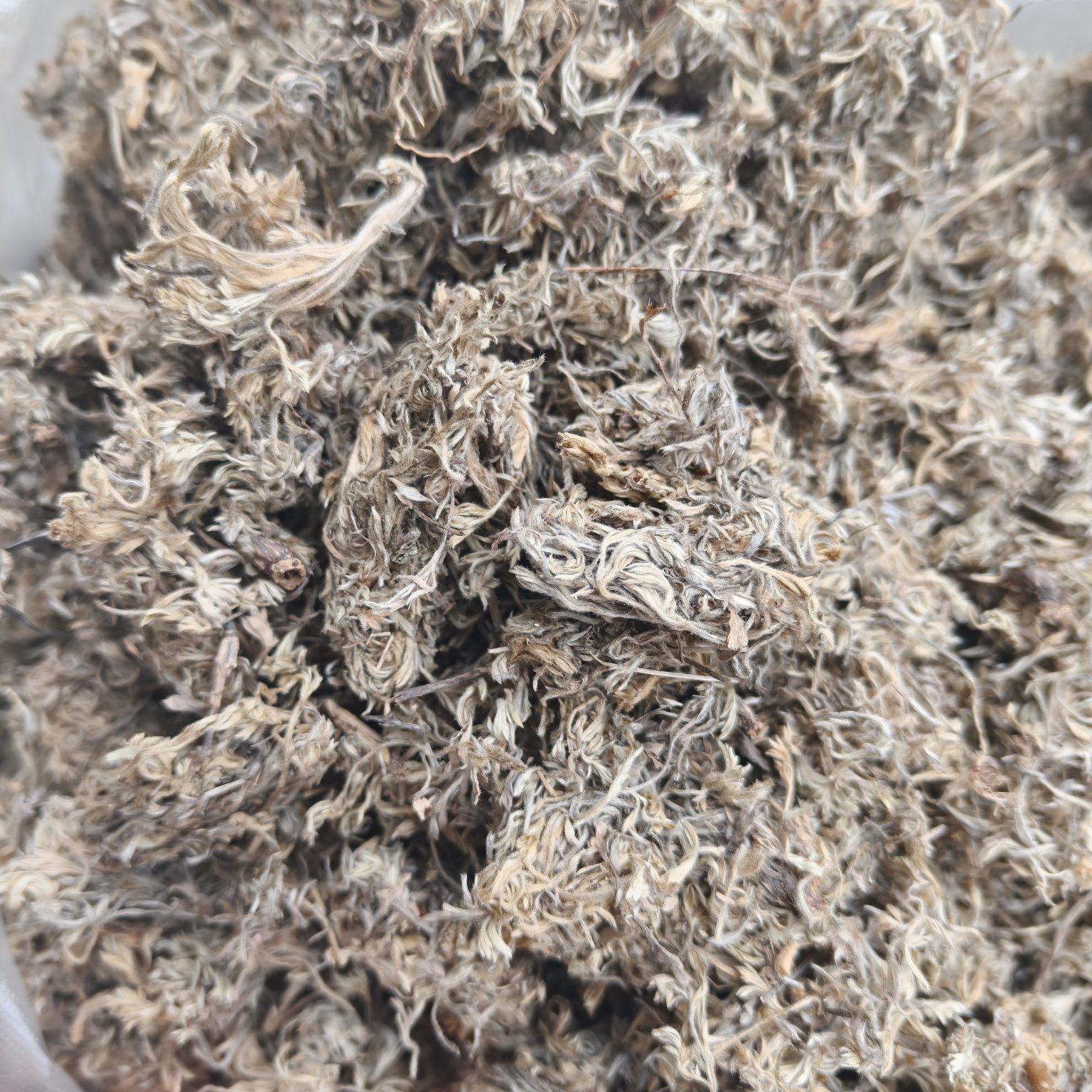 绵茵陈，三月新货，头茬人工挑选杂草。一手货源，量大从优。