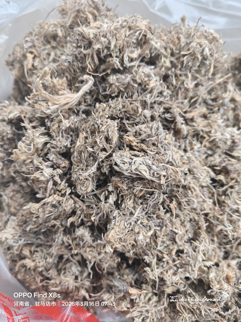 绵茵陈，三月新货，头茬人工挑选杂草。一手货源，量大从优。