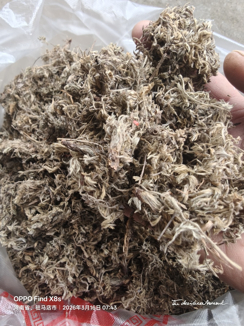 绵茵陈，三月新货，头茬人工挑选杂草。一手货源，量大从优。