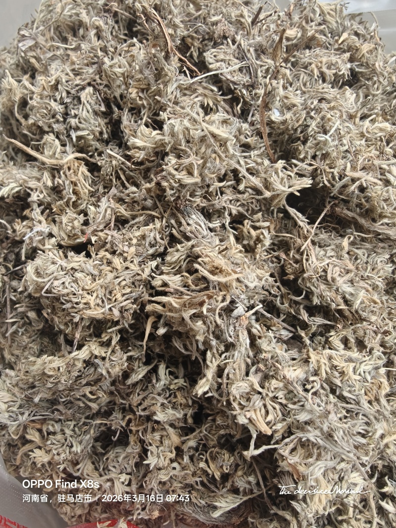 绵茵陈，三月新货，头茬人工挑选杂草。一手货源，量大从优。