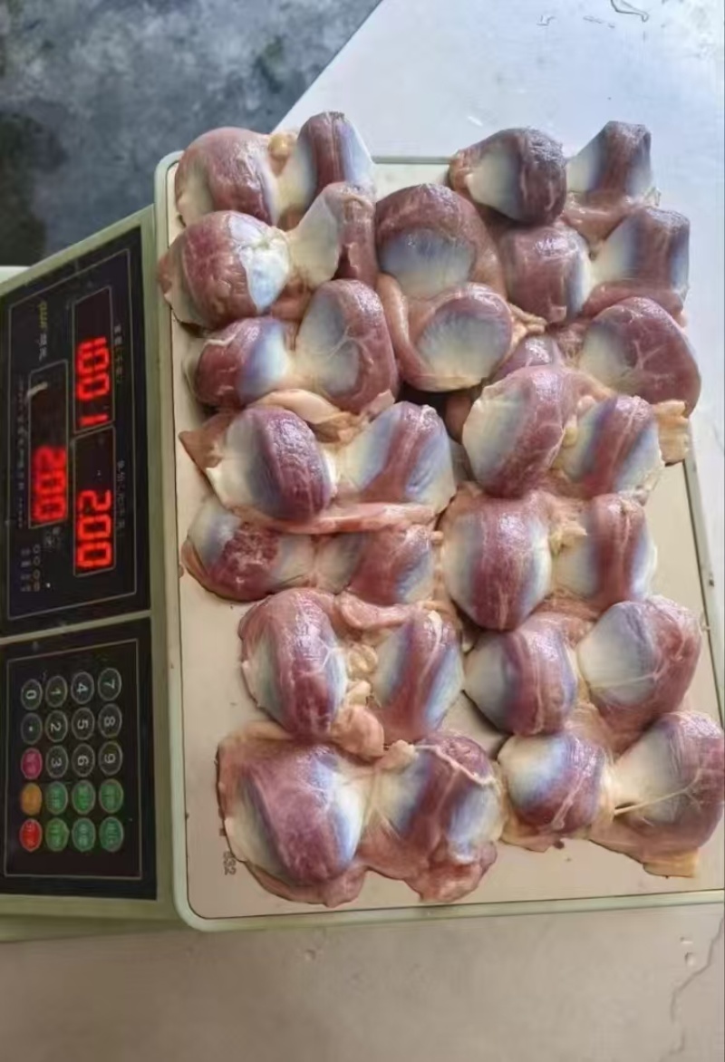 板冻肉鸭胗12-16个纯干10吨