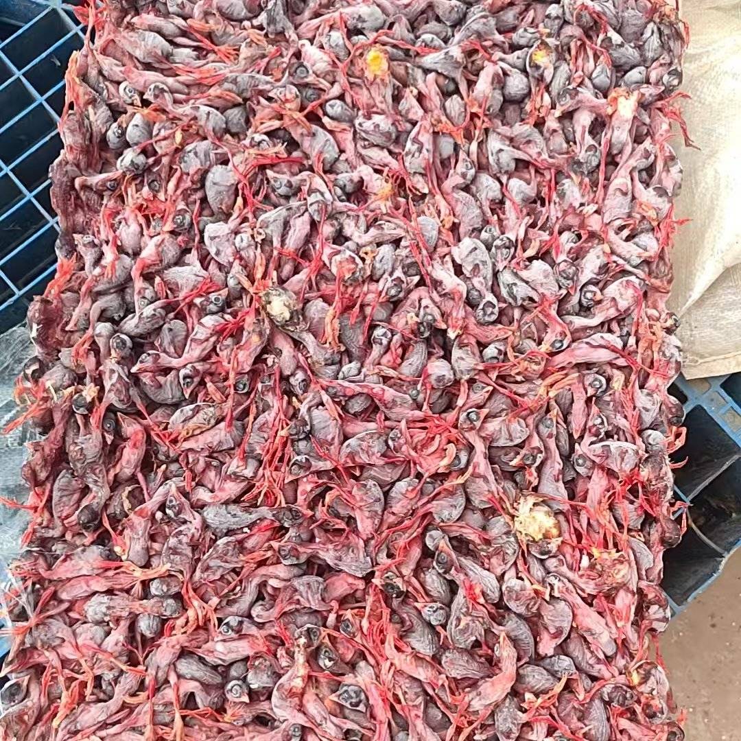 脱毛鹌鹑20吨