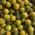 寿光产地小番茄圣女果糖珀虎小番茄新鲜采摘产地直达