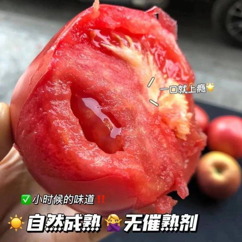 普罗旺斯西红柿