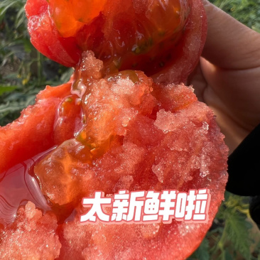 普罗旺斯西红柿