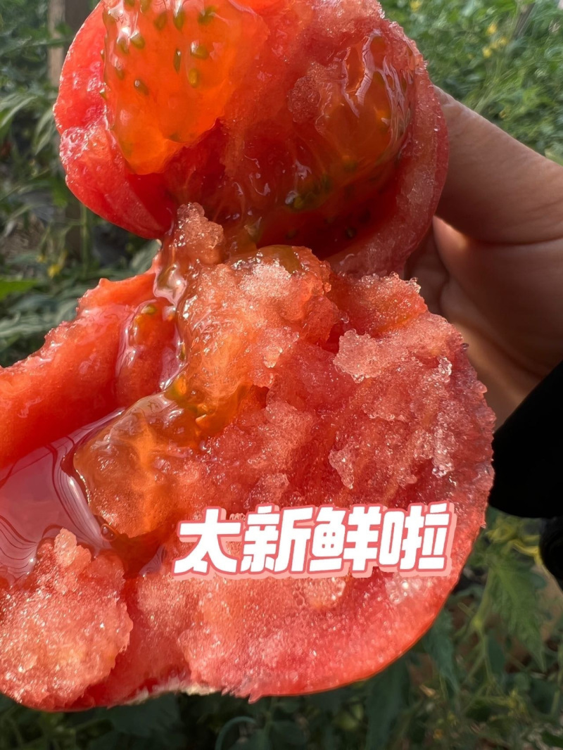 普罗旺斯西红柿