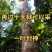 【一叶封神】为了一棵树，可以放弃整片森林，再过10天就可