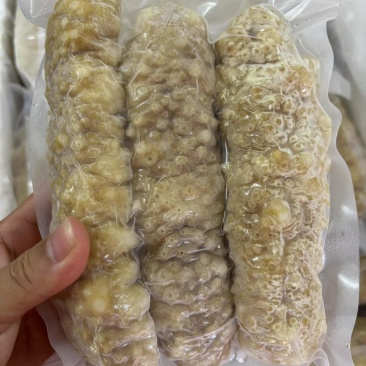 高质量黄玉参