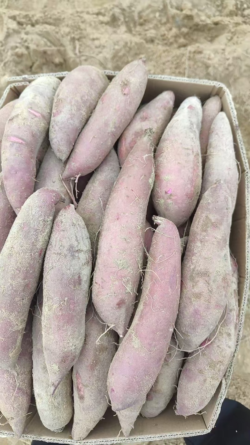 一点红冰淇淋红薯