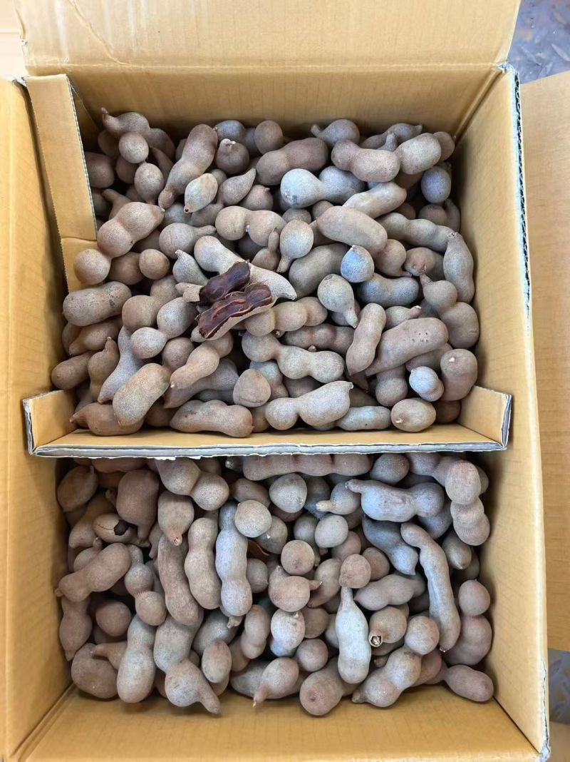酸角，酸甜角，全国发货价格美丽，质量有保证！