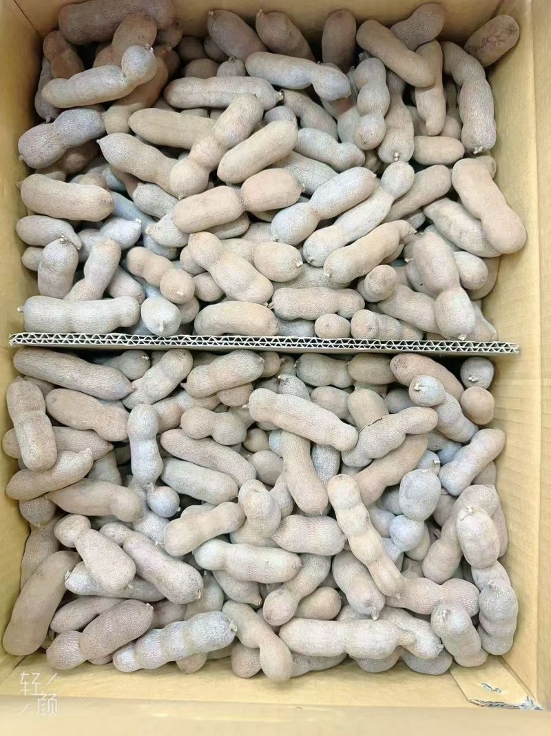 酸角，酸甜角，全国发货价格美丽，质量有保证！