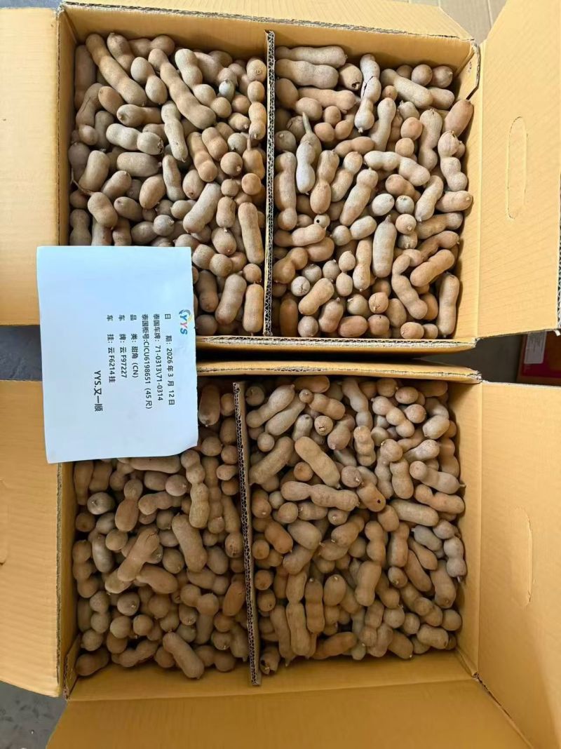 酸角，酸甜角，全国发货价格美丽，质量有保证！