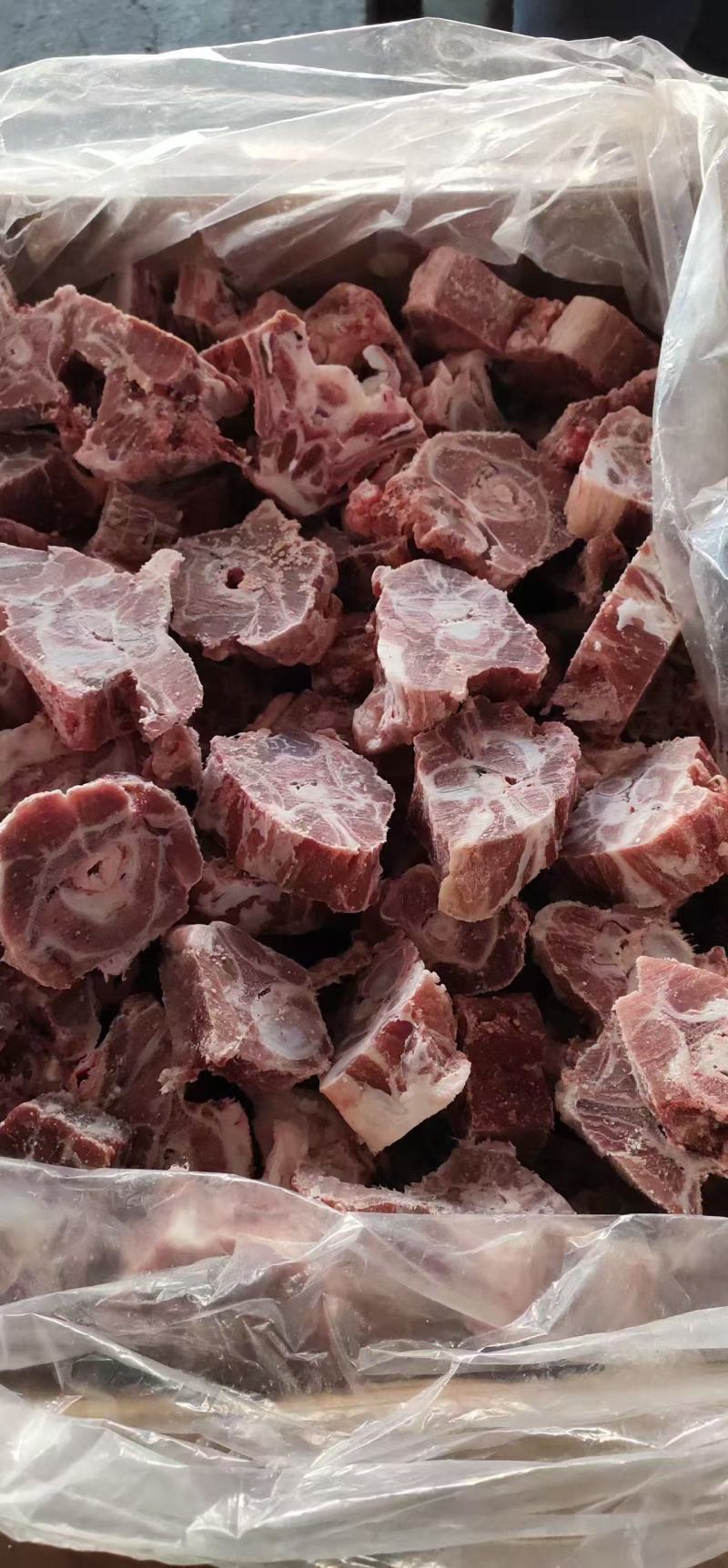 满肉羊蝎子