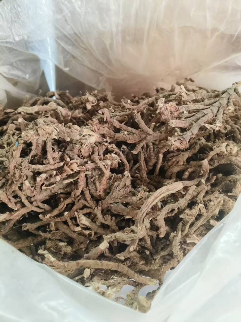全网低价货源充足优选石菖蒲等你选购欢迎联系