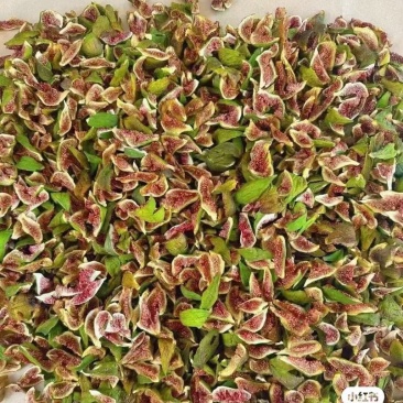 威海青皮无花果果干