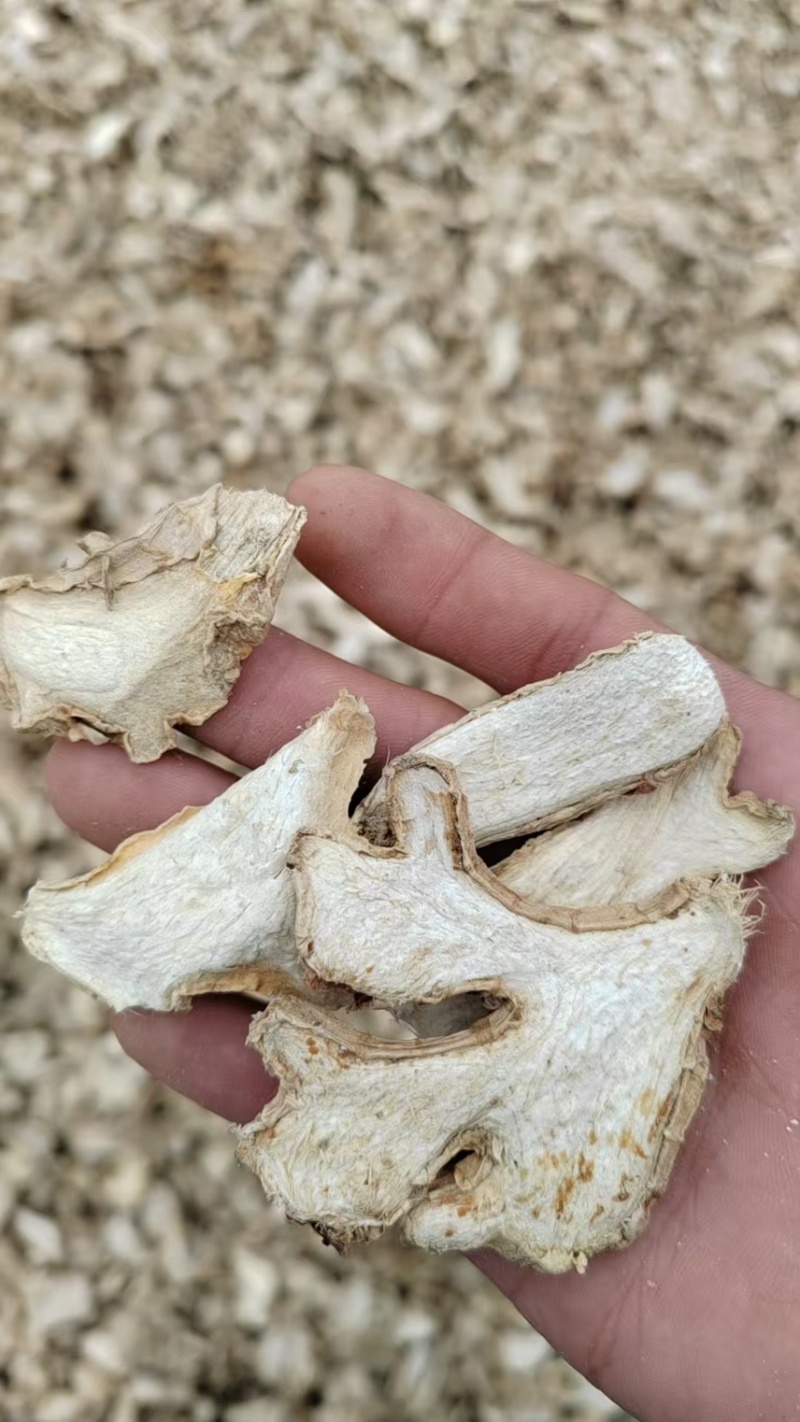 云南罗平小黄姜干姜片小黄姜产地批发黄姜片，大量现货