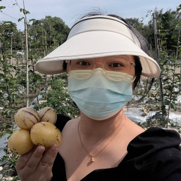 人参果：仙界遗落的灵果，人间稀有的清甜