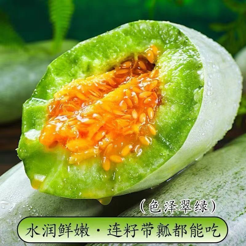 正宗寿光羊角蜜甜瓜一件代社区团购对接各大电商品质好