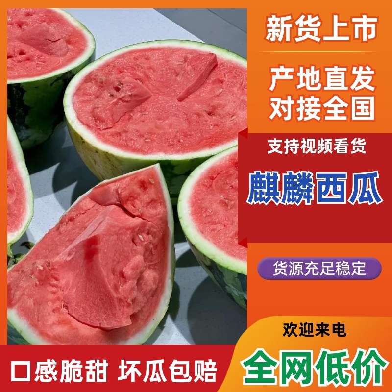 美都西瓜无籽.头茬，糖度13+、精品麒麟瓜！小薄皮大红馕