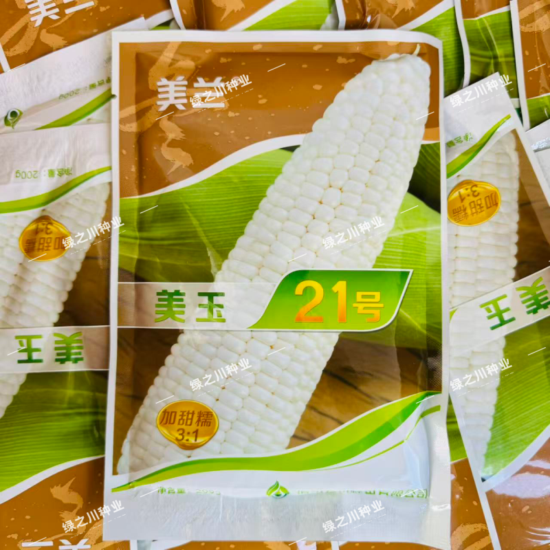 美玉21号加甜糯玉米种子口感香甜糯大棒鲜食玉米种籽加甜糯