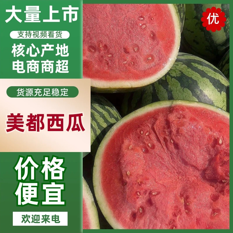 甜王-美都西瓜、8424/小西瓜、全国可发质量三包！！