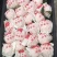 春见耙耙柑#春天的应季水果#口感纯甜#皮薄肉嫩#入口爆汁