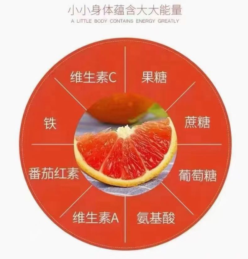 秭归江边中华红橙