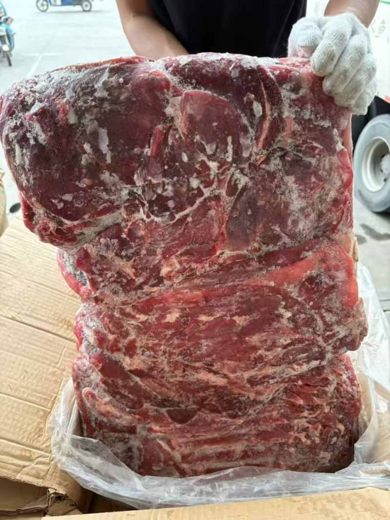 内蒙小牛前
