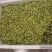 云南菜用茉莉花