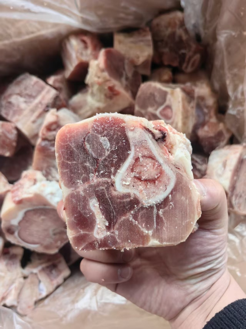 带腱后腿骨
