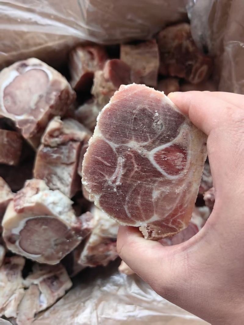 带腱后腿骨