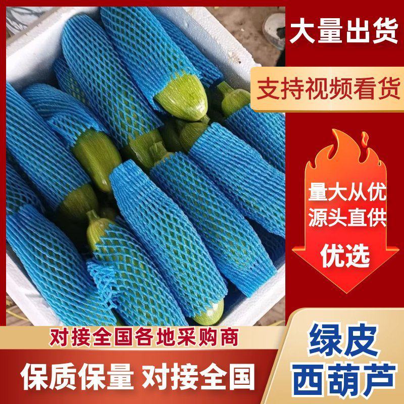 山东产区绿皮西葫芦/产区直发/货源充足/欢迎选购