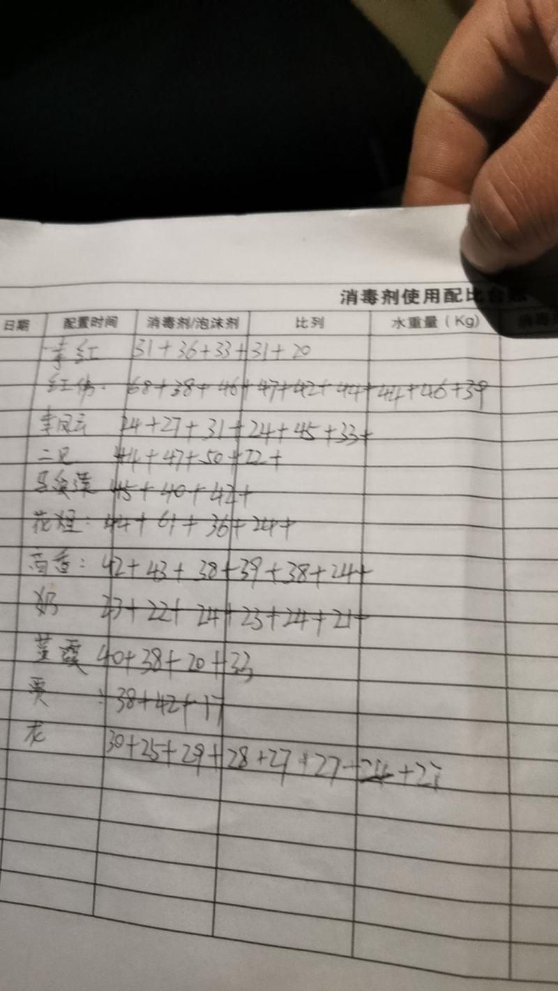 面条菜，