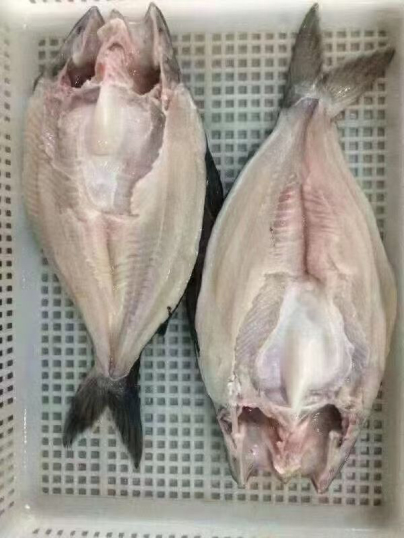 开背免处理烤鱼清江烤鱼青花椒鱼麻辣烤鱼藤椒鱼烤鱼肉嫩