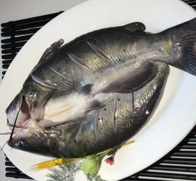 开背免处理烤鱼清江烤鱼青花椒鱼麻辣烤鱼藤椒鱼烤鱼肉嫩