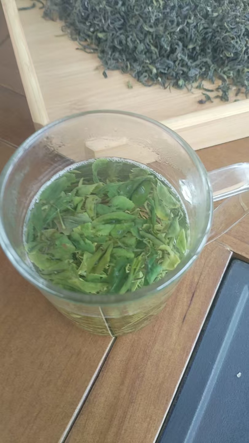 山东日照绿茶新鲜上市价格美丽对接全国量大从优走货快