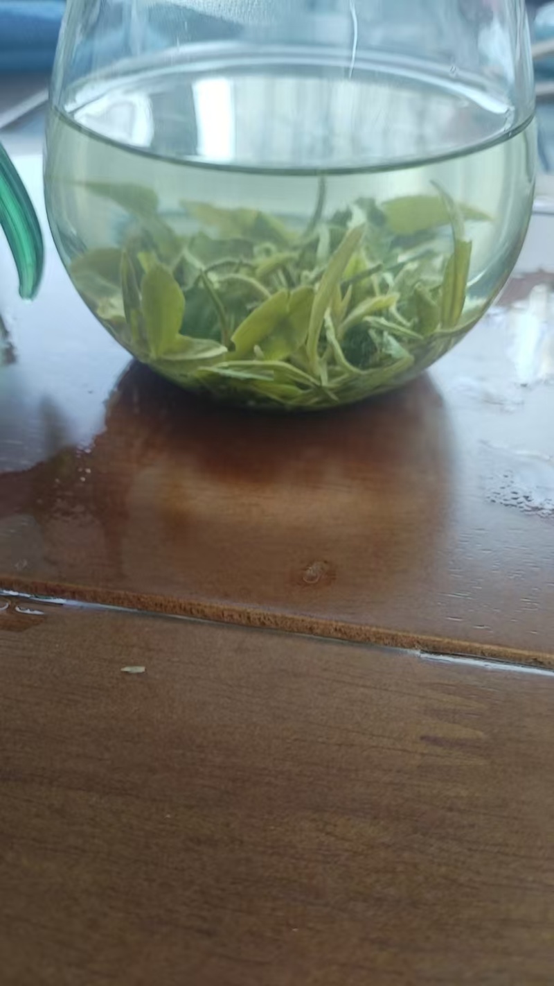 山东日照绿茶新鲜上市价格美丽对接全国量大从优走货快