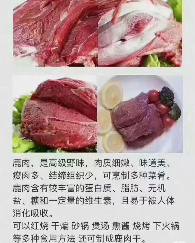 鹿肉郑州万邦现货