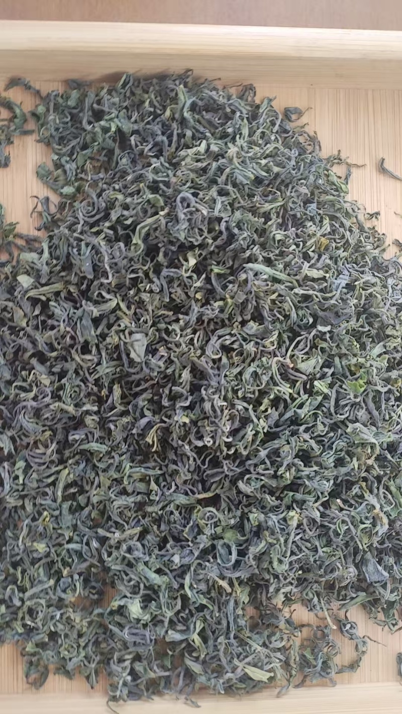 山东日照绿茶新鲜上市价格优惠质量好清新可口欢迎询价