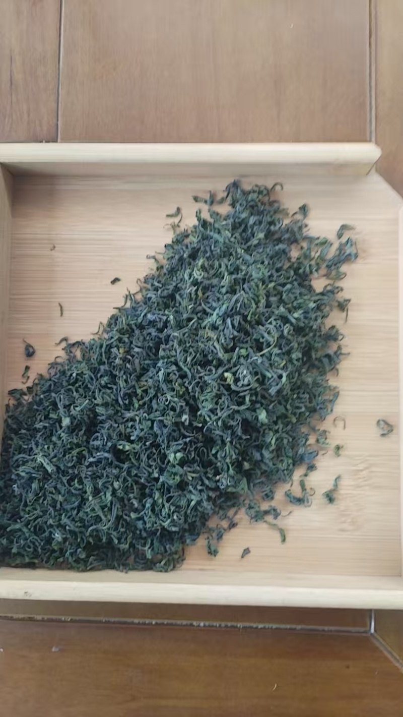 山东日照绿茶新鲜上市价格优惠质量好清新可口欢迎询价