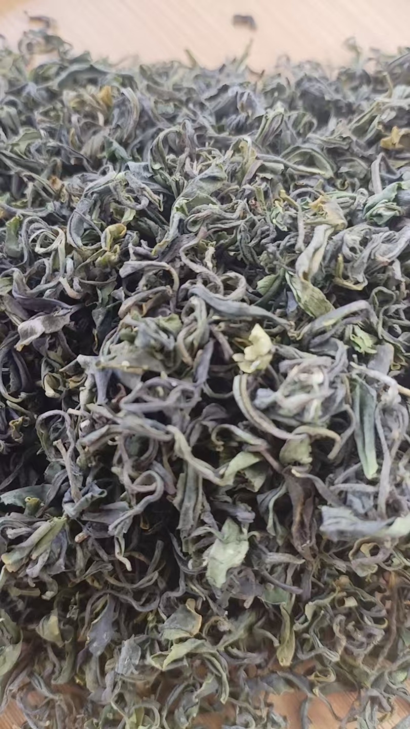 山东日照绿茶新鲜上市价格优惠质量好清新可口欢迎询价