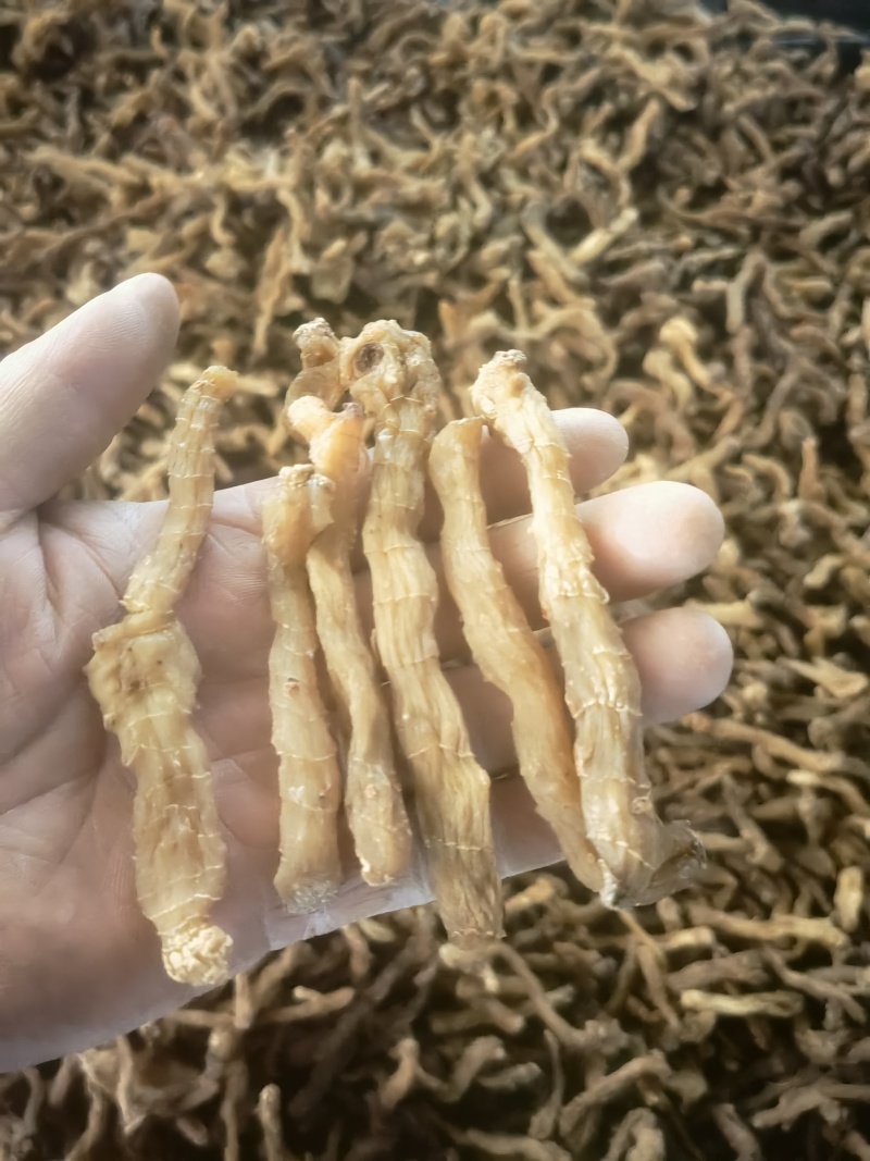 干品鸡头黄精