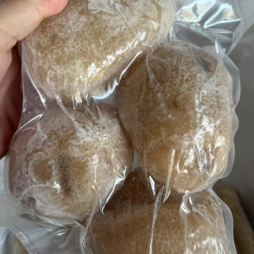 高质量珍珠球参规格齐全厂家直销